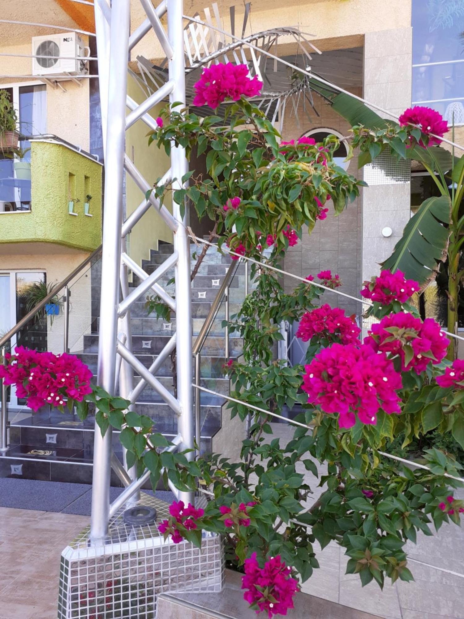 Lilalo Ηotel Paralía Екстериор снимка